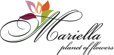 mariela.AM