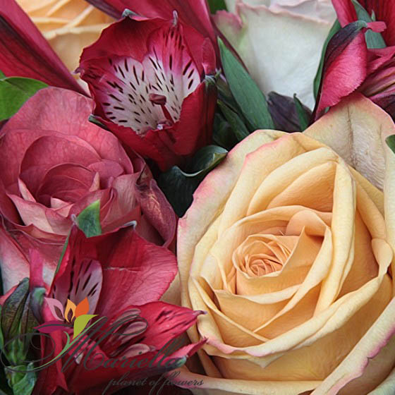 Bouquet 0069