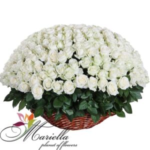 Կոմպոզիցիա 0086