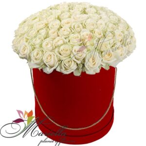 Կոմպոզիցիա 0087