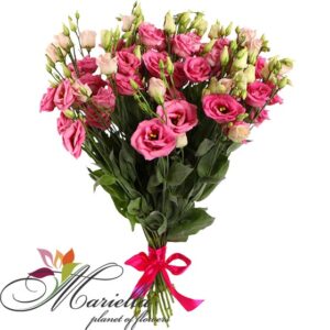 Bouquet 0106