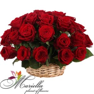 Կոմպոզիցիա 0118