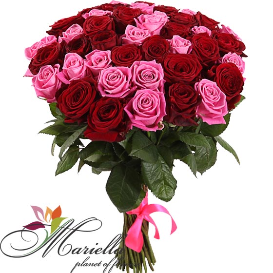 Bouquet 0126