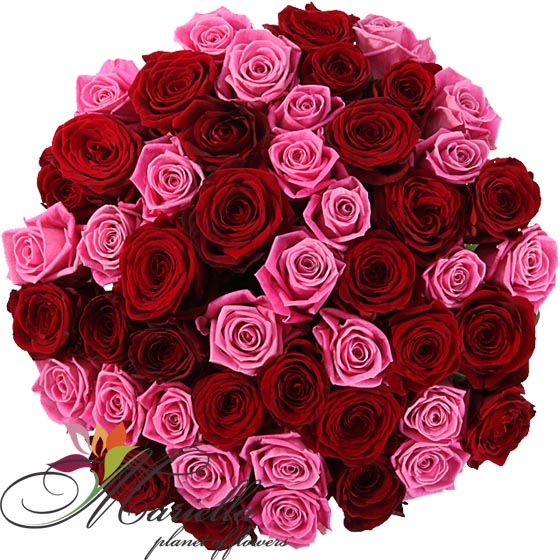 Bouquet 0126