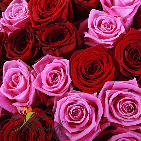 Bouquet 0126