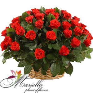 Կոմպոզիցիա 0130