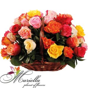 Կոմպոզիցիա 0133