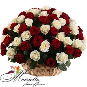Композиция 0145
