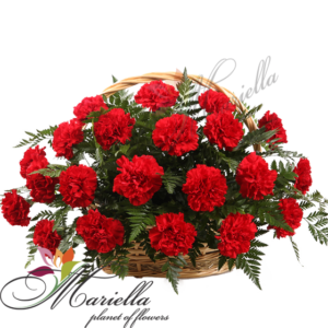 Композиция 0164