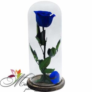 Անթառամ վարդ 5013