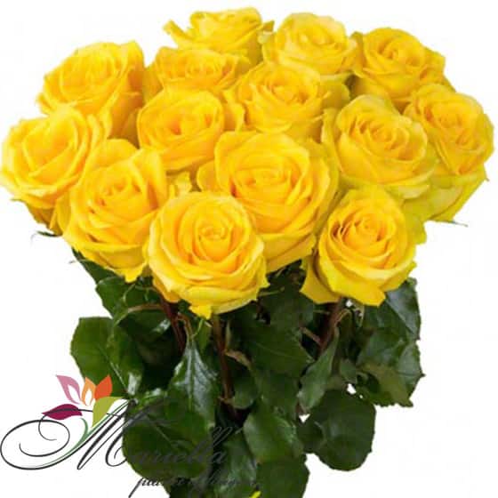 Bouquet 0276