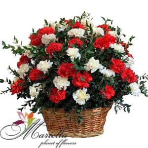 Կոմպոզիցիա 0335