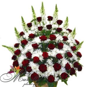 Կոմպոզիցիա 0336