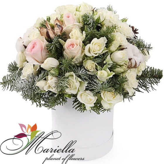Arrangement 0342