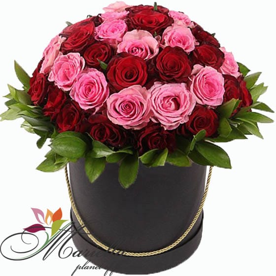 Композиция 0324