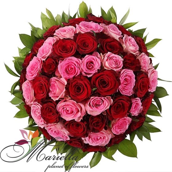 Композиция 0324