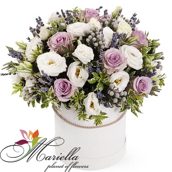 Arrangement 0370