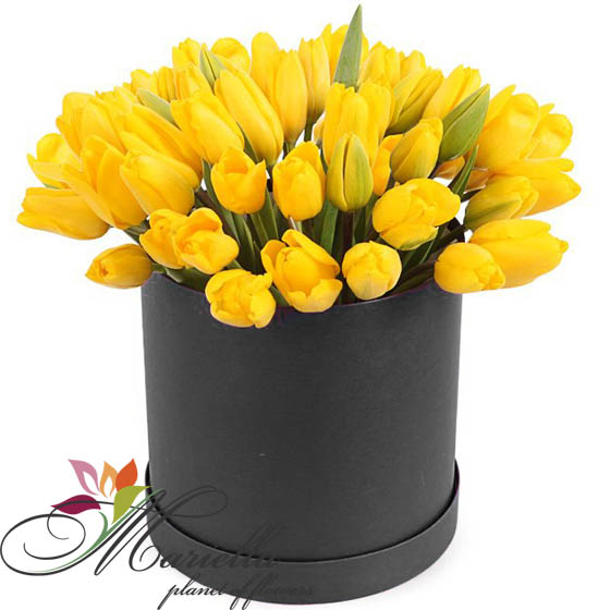 Կոմպոզիցիա 0374