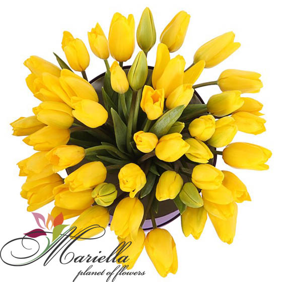 Կոմպոզիցիա 0374