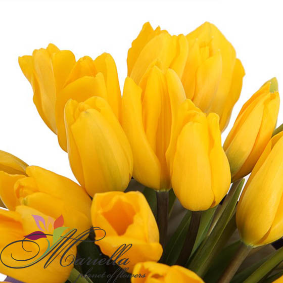 Կոմպոզիցիա 0374