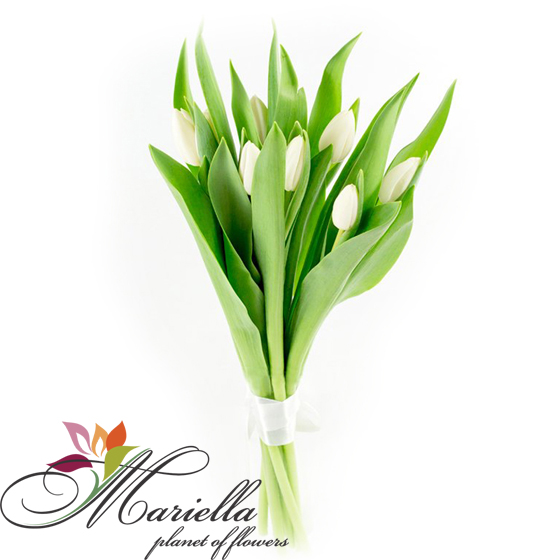 Bouquet 0376