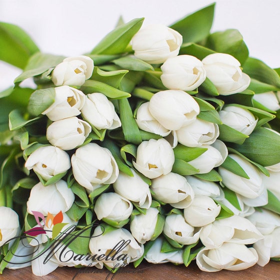 Bouquet 0376