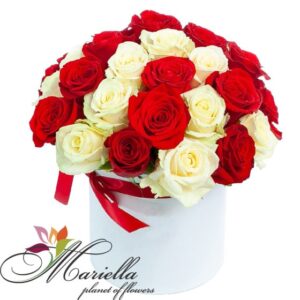 Կոմպոզիցիա 0387
