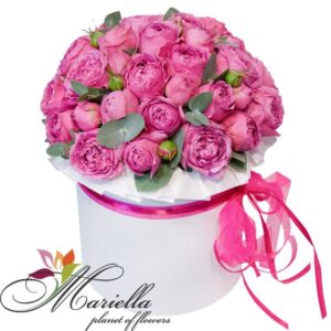 Կոմպոզիցիա 0389