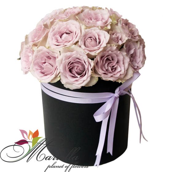 Կոմպոզիցիա 0406