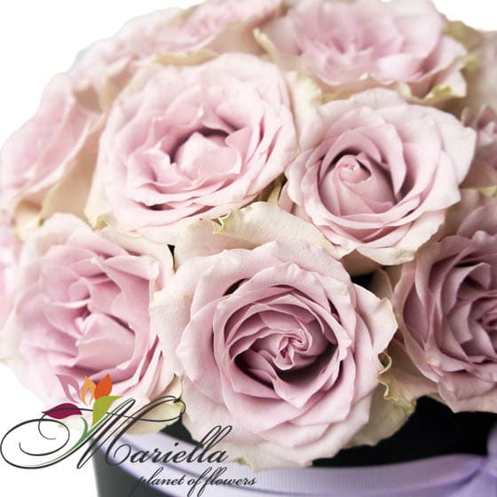 Կոմպոզիցիա 0406