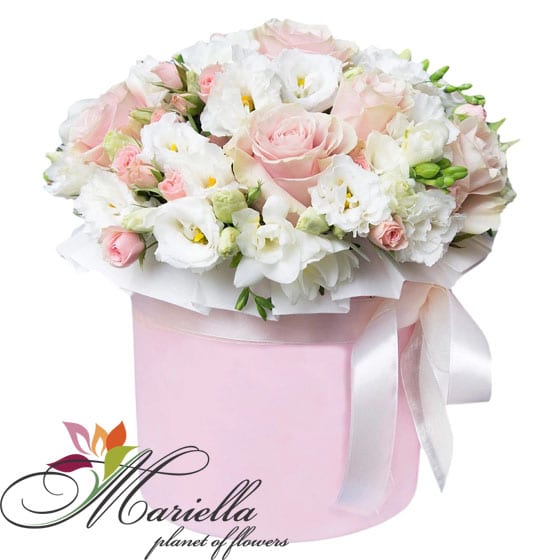 Arrangement 0415