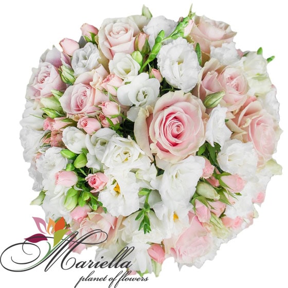 Arrangement 0415