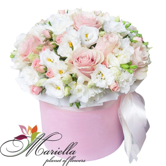 Arrangement 0415