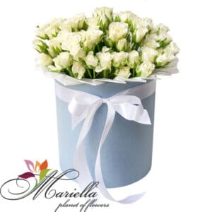 Կոմպոզիցիա 0416
