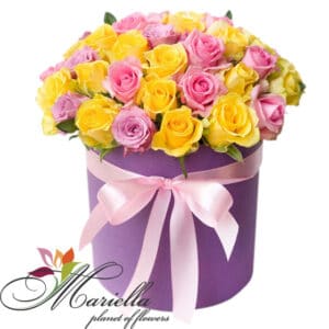 Կոմպոզիցիա 0426