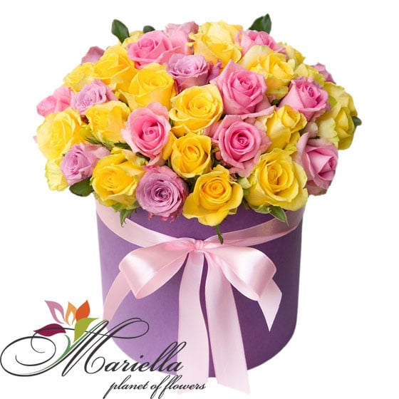 Arrangement 0426