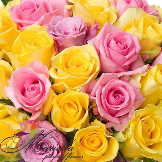 Arrangement 0426