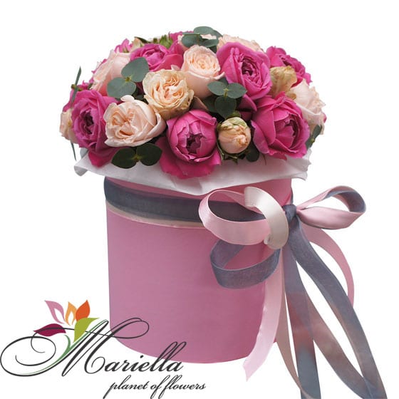 Arrangement 0427