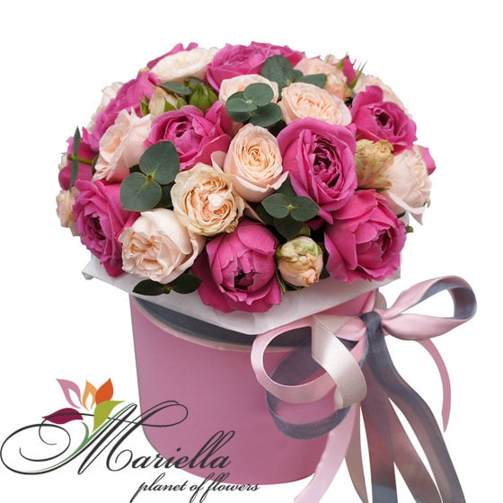 Arrangement 0427