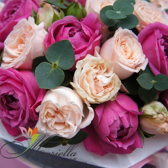 Arrangement 0427