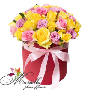Կոմպոզիցիա 0403