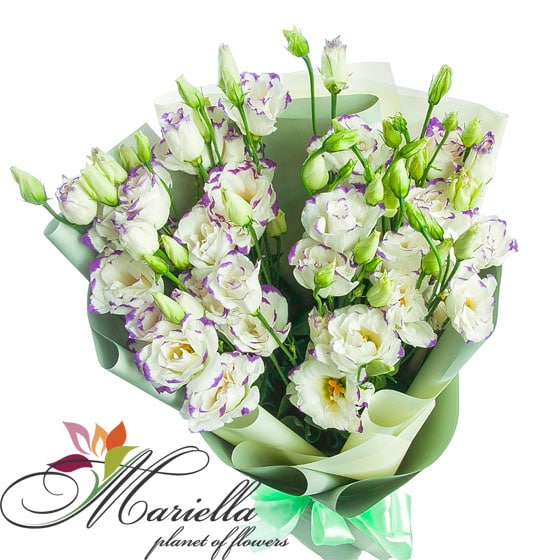 Bouquet 0430