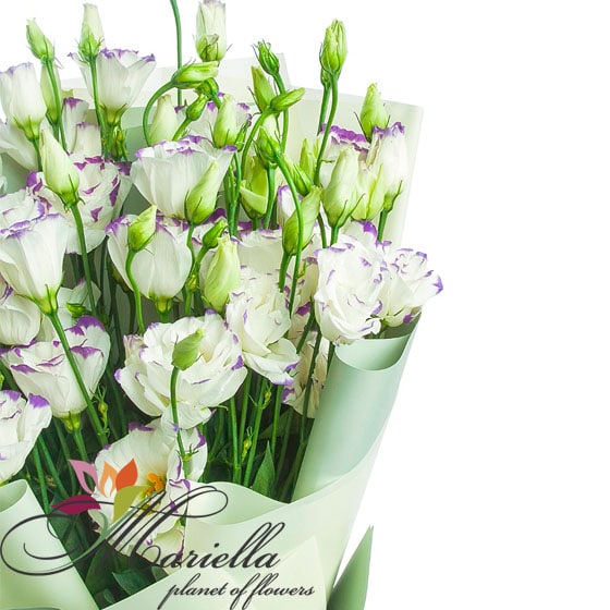 Bouquet 0430