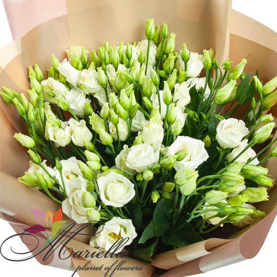 Bouquet 0432