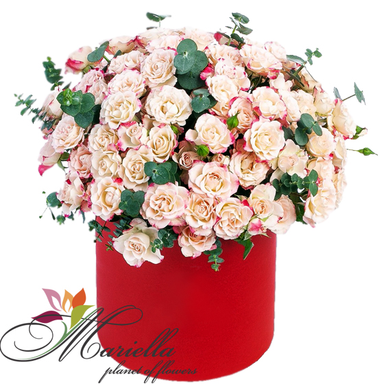 Կոմպոզիցիա 0440