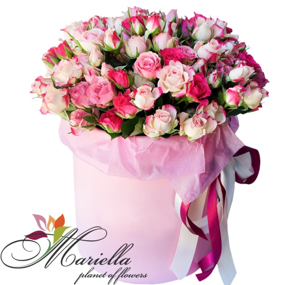 Կոմպոզիցիա 0443