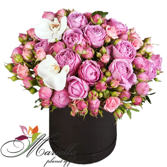 Կոմպոզիցիա 0449
