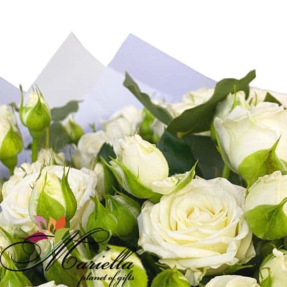 Bouquet 0481