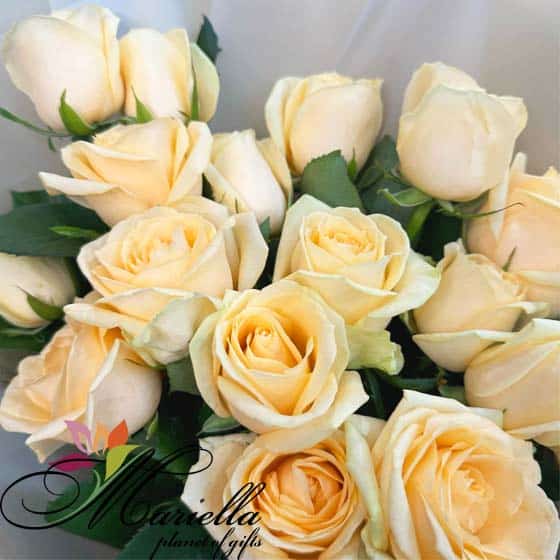 Bouquet 0484