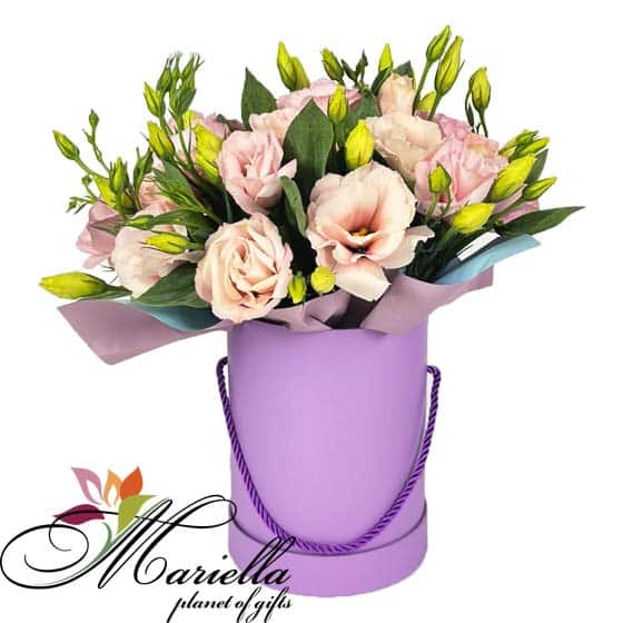 Կոմպոզիցիա 0491